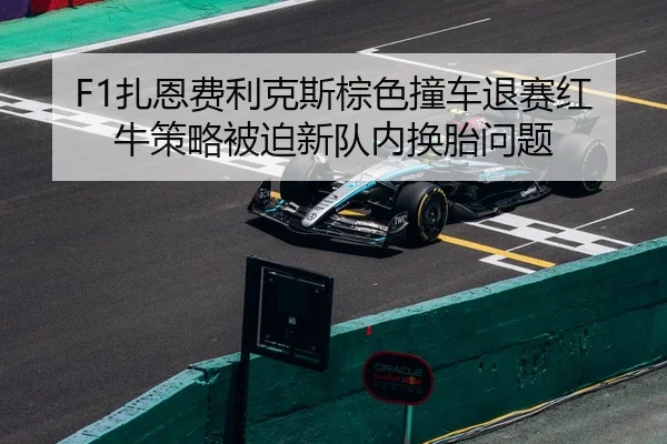 zha-en-fei-li-ke-si-zong-se-zhuang-che-tui-sai-hong-niu-ce-lve-bei-po-xin-dui-nei-huan-tai-wen-ti-2-627.jpg
